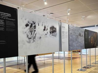 MOSTRA: IL LUPO E NOI